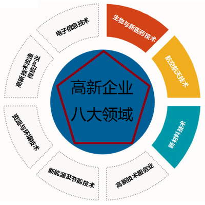 國家高新技術企業申報中主營產品（服務）領域判斷——以知識產權服務為例