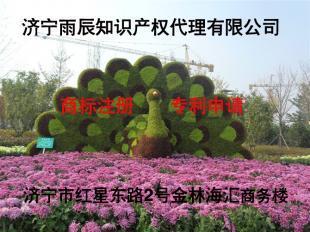 濟(jì)寧商標(biāo)注冊(cè)助力企業(yè)發(fā)展，雨辰喜迎黨的十八大商標(biāo)注冊(cè)服務(wù)升級(jí)